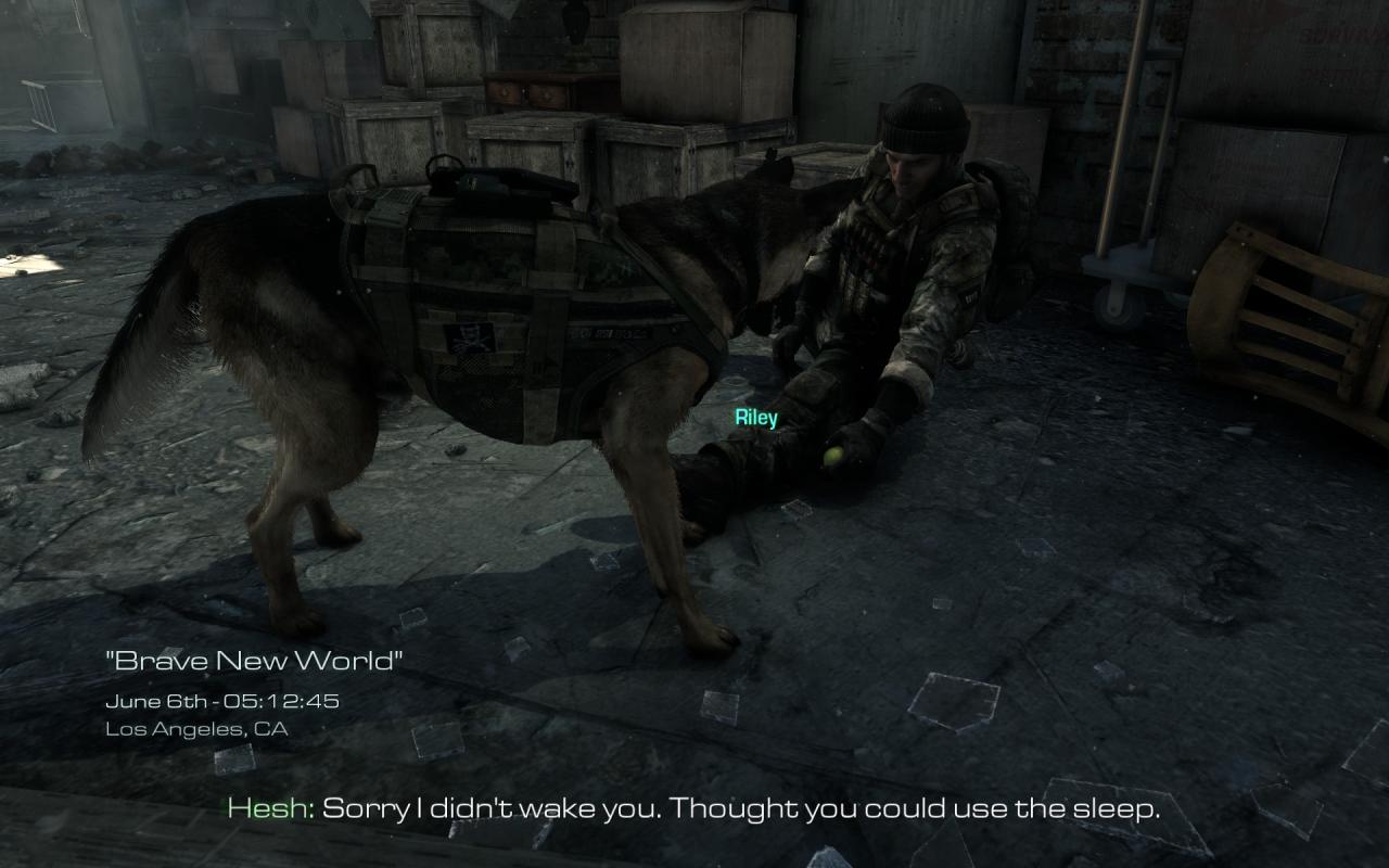 [26/11/2013] Call of Duty Ghosts: Fur Patch (4)