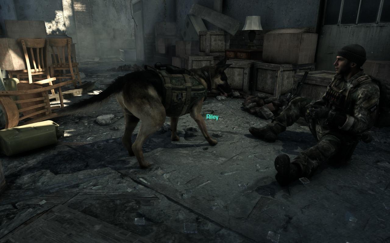 [26/11/2013] Call of Duty Ghosts: Fur Patch (5)