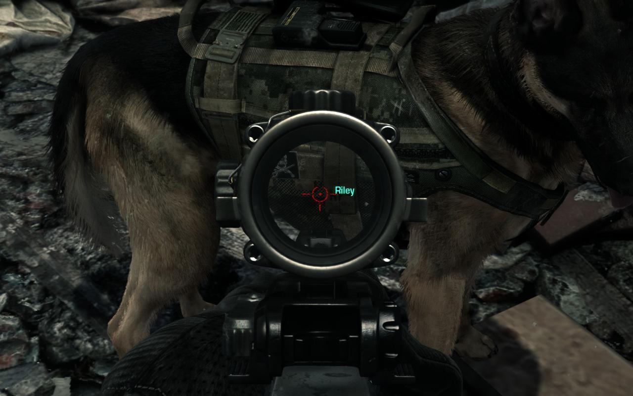 [26/11/2013] Call of Duty Ghosts: Fur Patch (6)