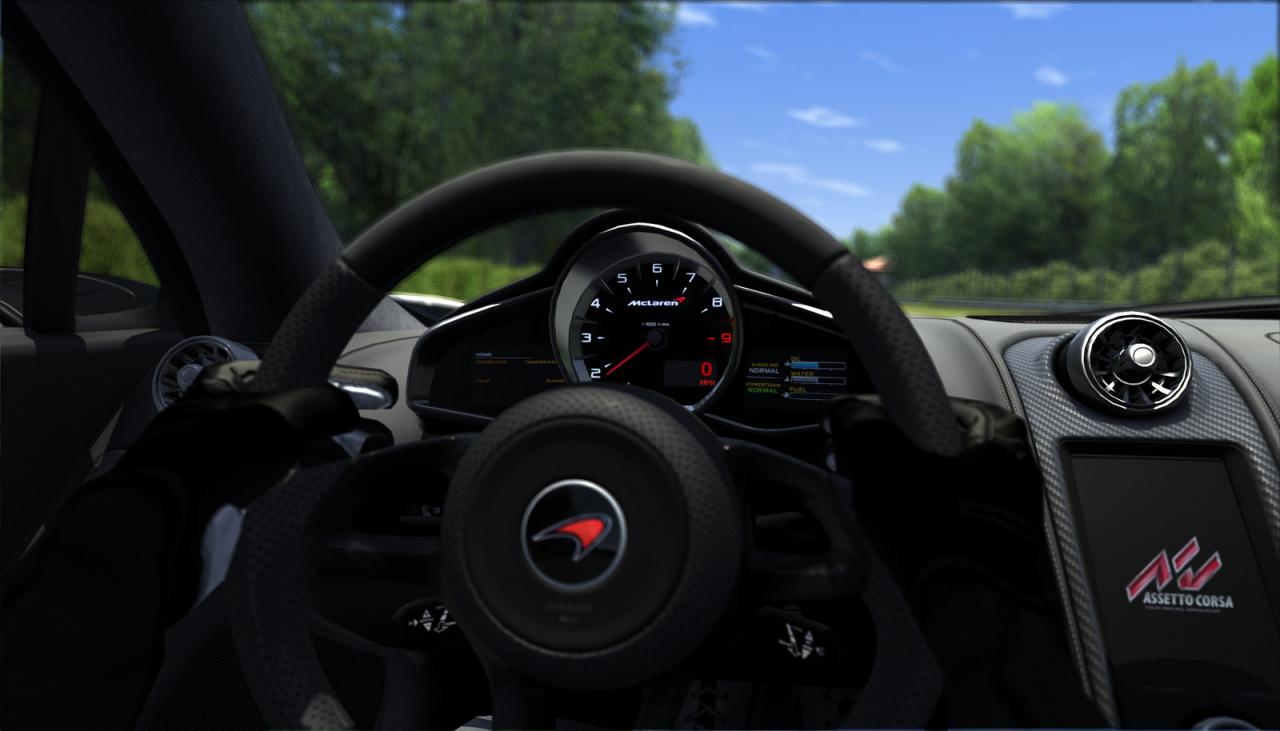 [11/12/2013] Assetto Corsa by QuadReaktor (7)
