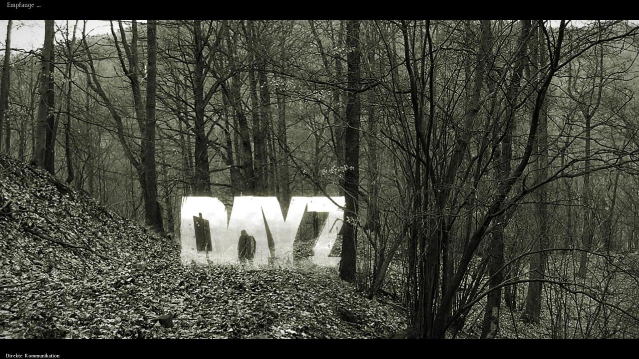 [23/12/2013] Day-Z: Alpha-Version im PCGH-Test (3)