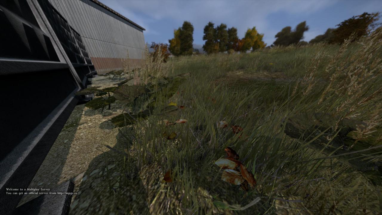 [23/12/2013] Day-Z: Alpha-Version im PCGH-Test (4)