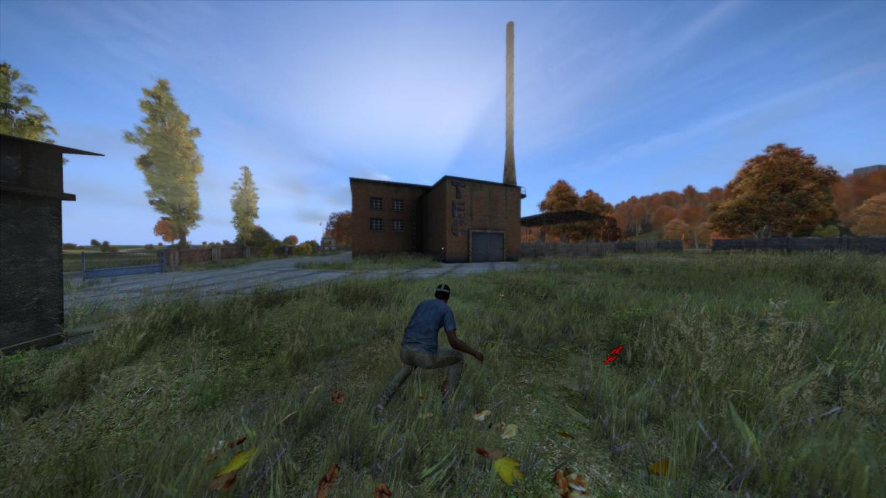 [23/12/2013] Day-Z: Alpha-Version im PCGH-Test (12)