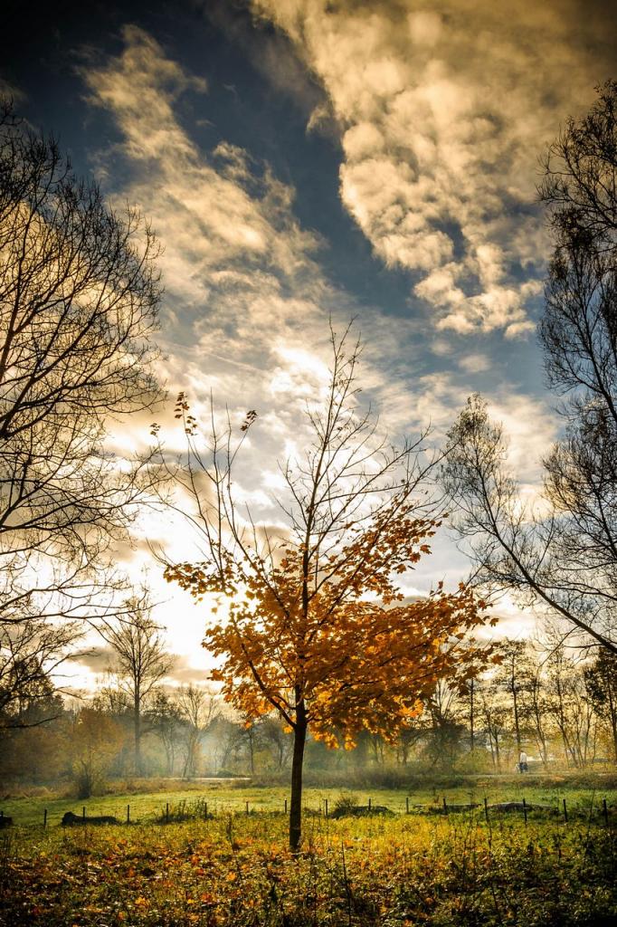 [27/12/2013] Foto von Luemmel