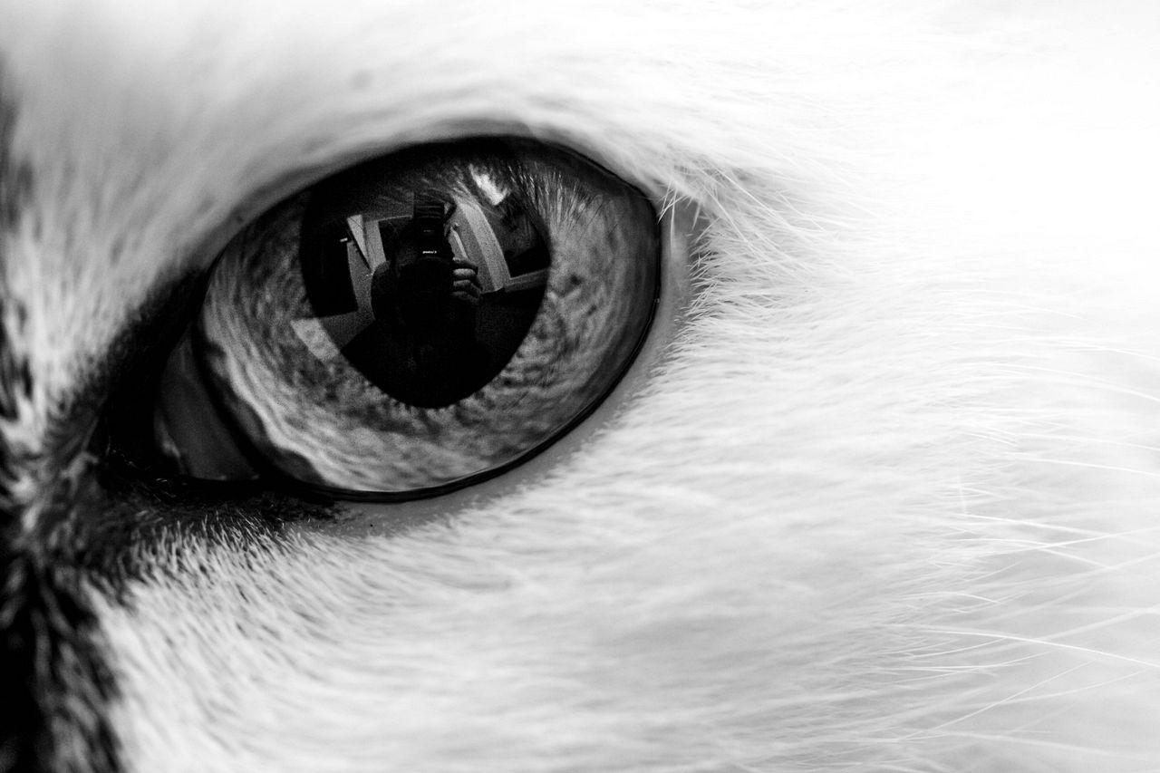 [27/12/2013] Foto von Luemmel