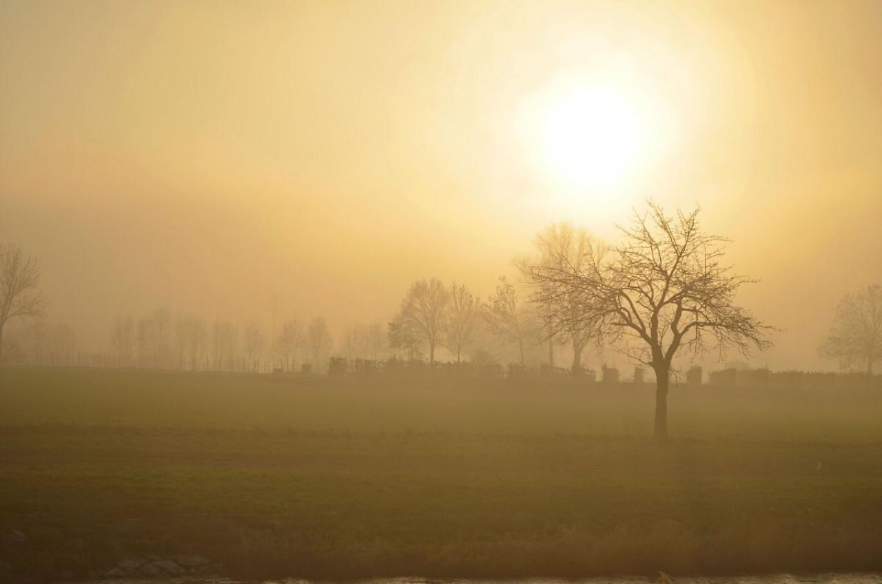 [27/12/2013] Foto von Jarafi
