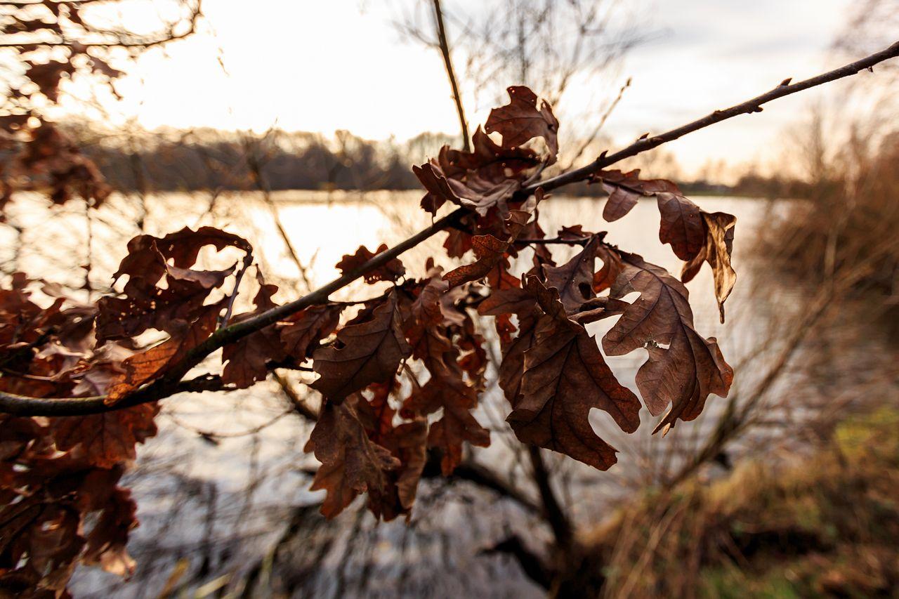 [27/12/2013] Foto von Luemmel