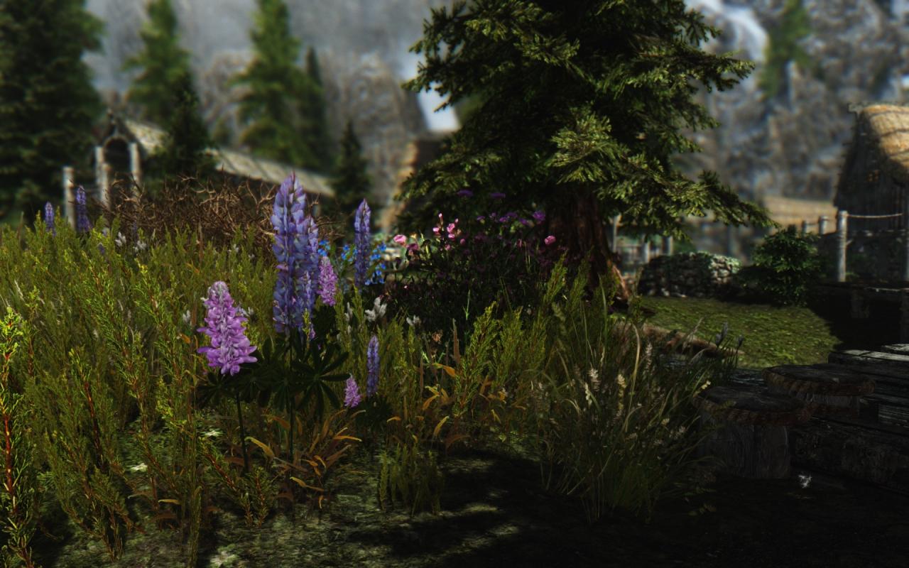 [06/12/2013] Skyrim maxed Graphics - Nach einigem Herumprobieren funktioniert auch die HD-Flora