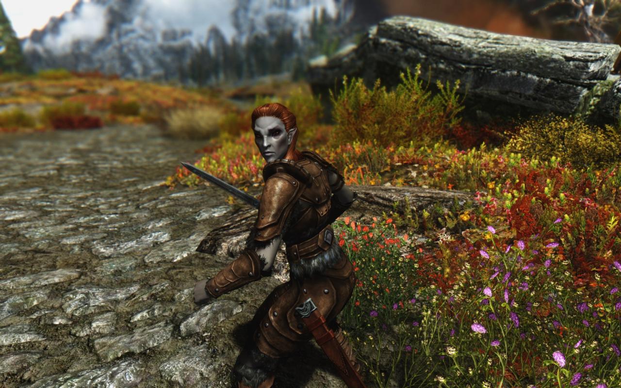 [06/12/2013] Skyrim maxed Graphics - Die Elfen wurden mit Ethereal Elven Overhaul etwas gehübscht
