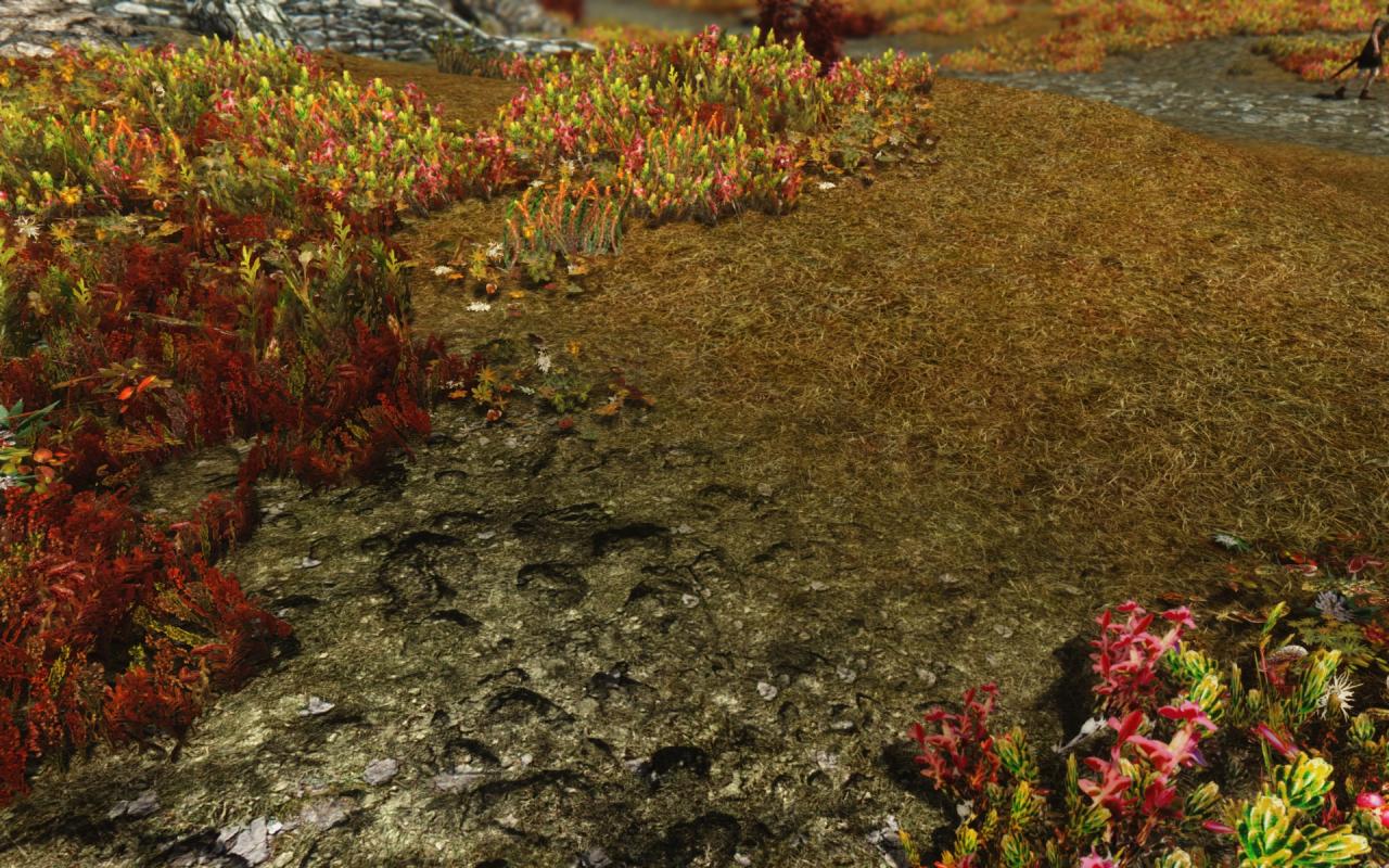 [06/12/2013] Skyrim maxed Graphics - HD-Texturen plus Parallax-Maps