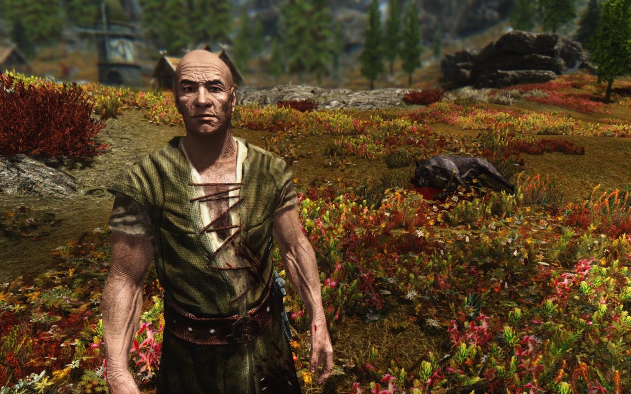 [06/12/2013] Skyrim maxed Graphics - Neue Runzeln für ältere Himmelsrandbewohner