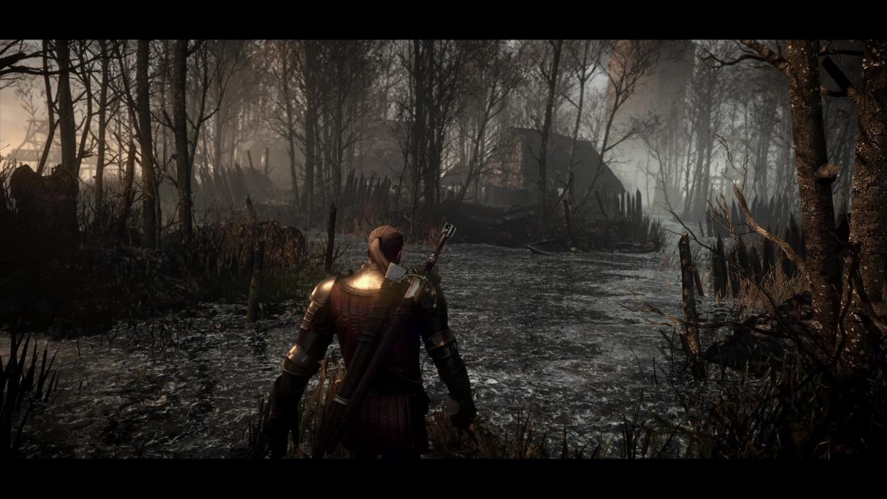 [09/12/2013] The Witcher 3 - Ingame-Screenshots aus dem Rollenspiel (10)