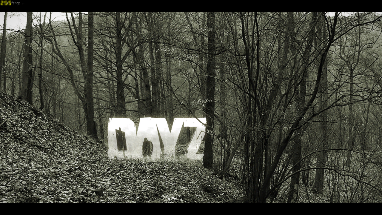 [15/01/2014] DayZ Standalone Alpha: Die Grafikeinstellungen im Check - Noch verbuggt, aber mit Potenzial (25)