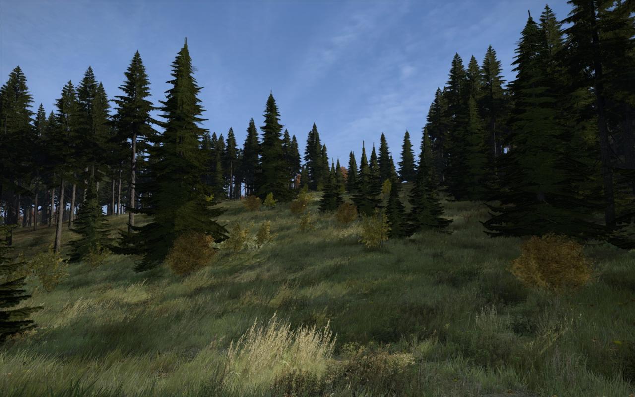 [03/01/2014] DayZ by Voodoo6000 (10)