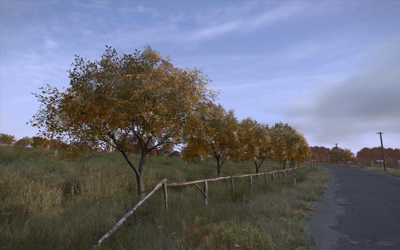 [03/01/2014] DayZ by Voodoo6000 (2)