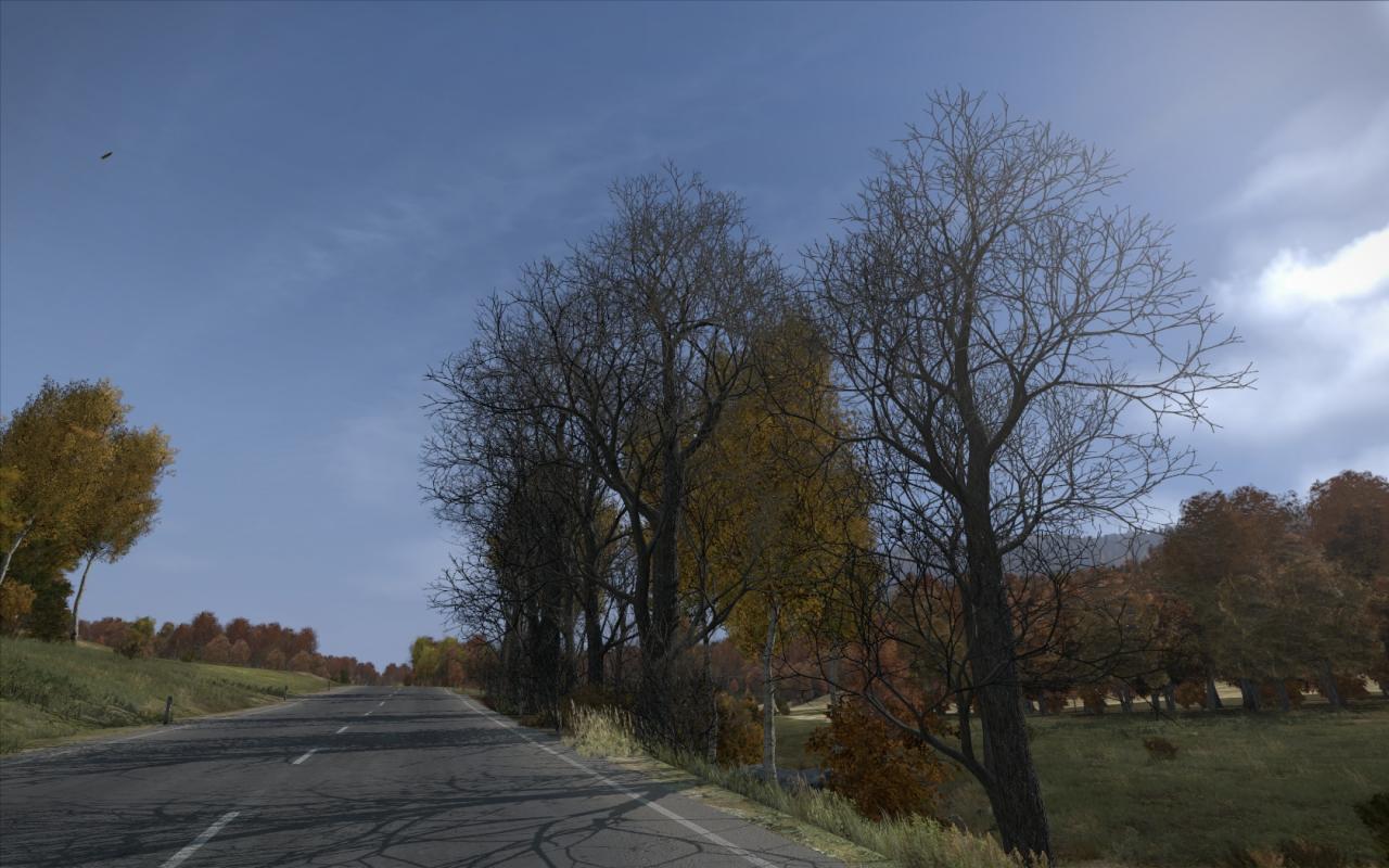 [03/01/2014] DayZ by Voodoo6000 (8)