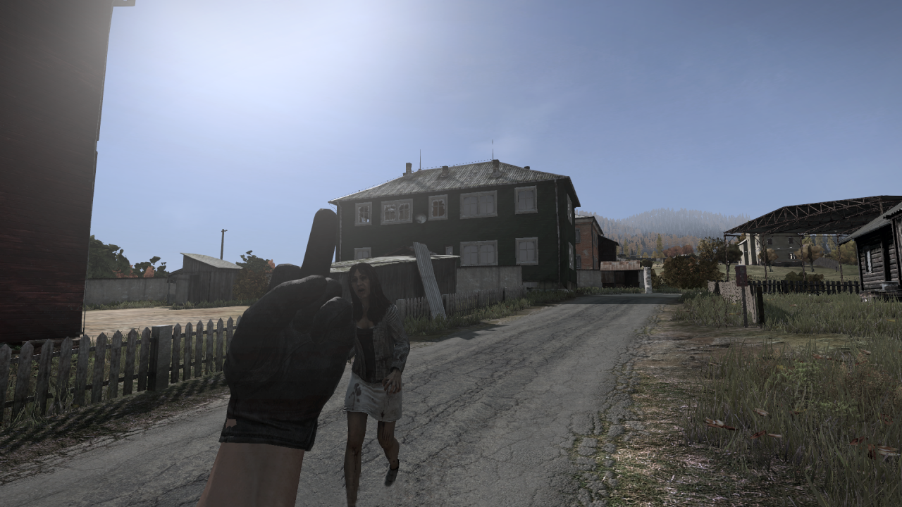 [10/01/2014] DayZ Standalone Alpha: Die Grafikeinstellungen im Check - Noch verbuggt, aber mit Potenzial (71)