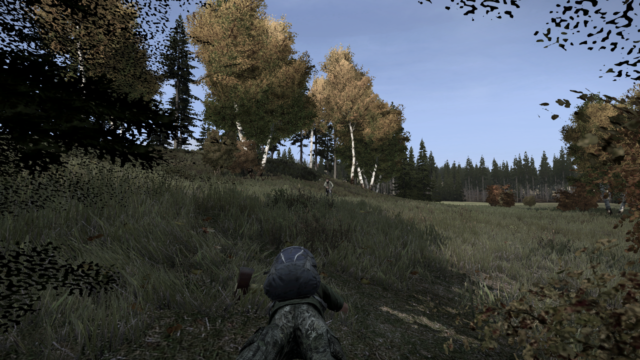 [10/01/2014] DayZ Standalone Alpha: Die Grafikeinstellungen im Check - Noch verbuggt, aber mit Potenzial (73)