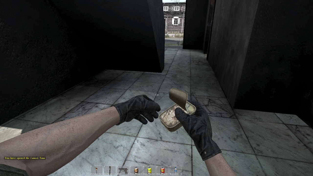 [10/01/2014] DayZ Standalone Alpha: Die Grafikeinstellungen im Check - Noch verbuggt, aber mit Potenzial (63)