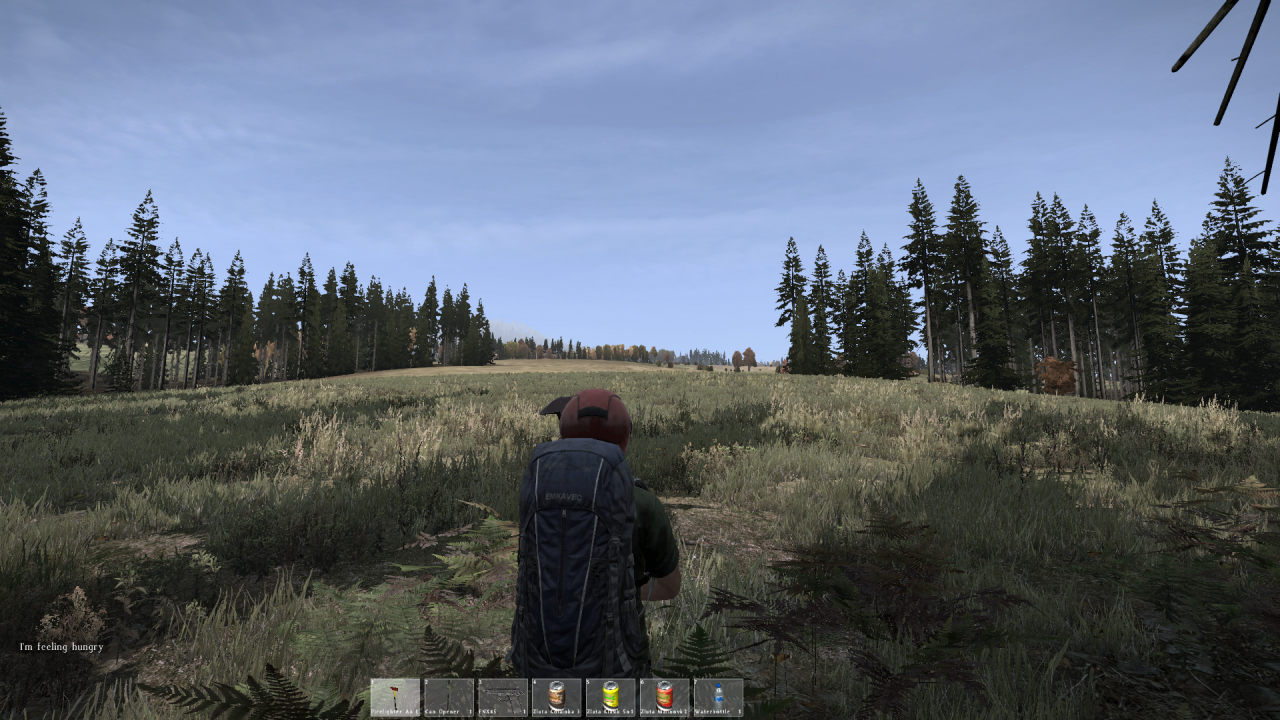 [10/01/2014] DayZ Standalone Alpha: Die Grafikeinstellungen im Check - Noch verbuggt, aber mit Potenzial (64)