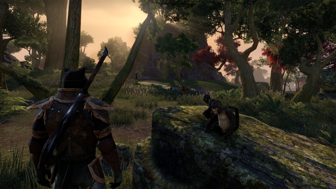 [07/02/2014] The Elder Scrolls Online: Questvielfalt und Missionsdesign der TESO-Beta im Video (11)