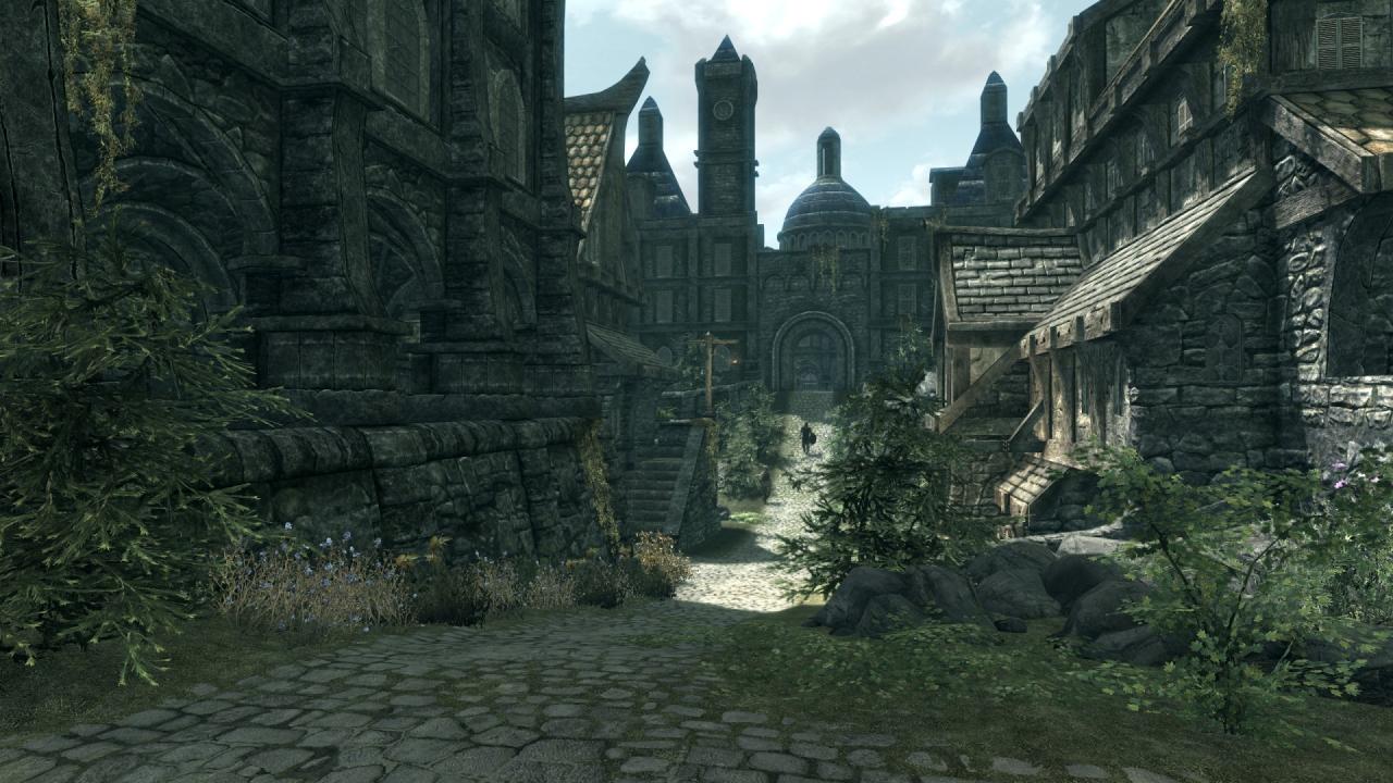 Skyrim: Städte mit Vegetation