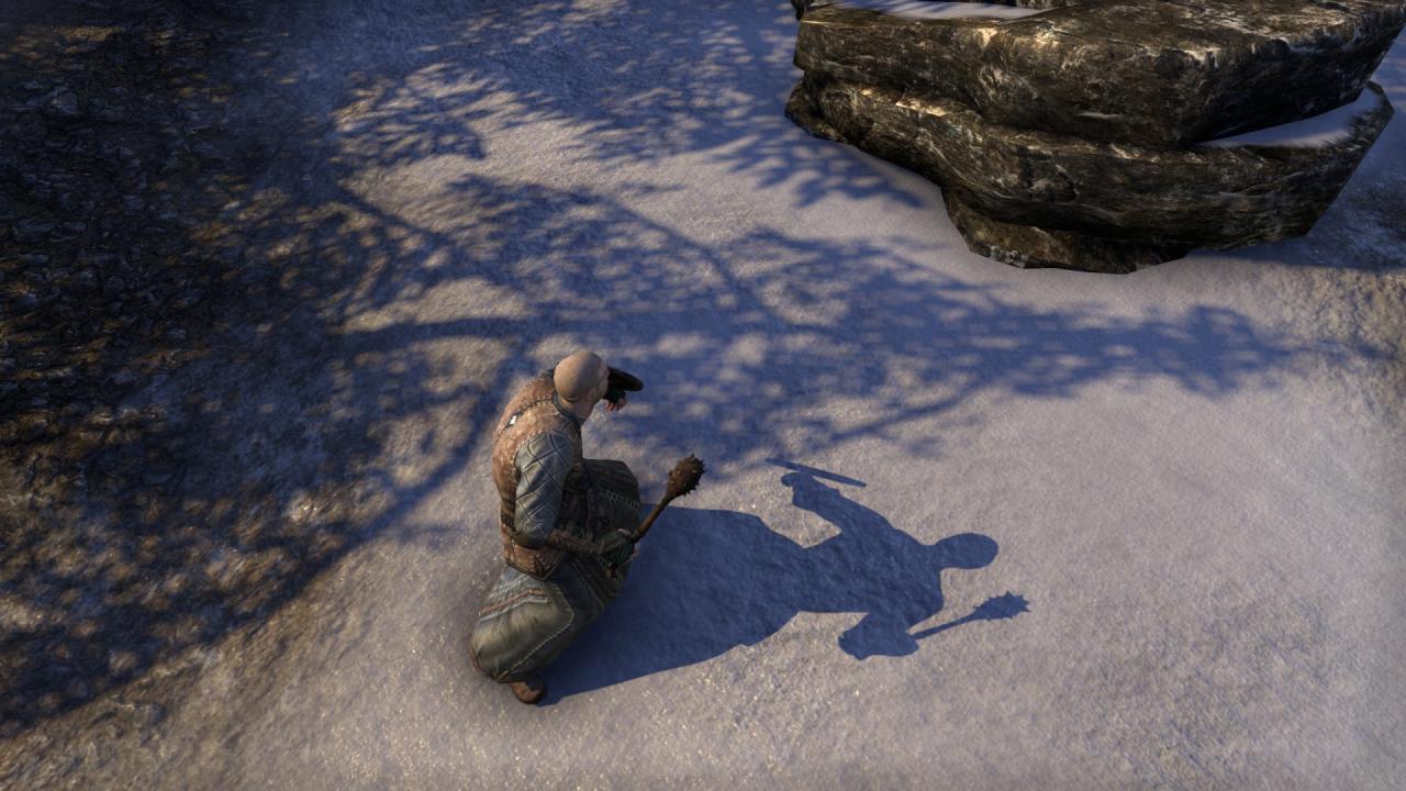 The Elder Scrolls Online im Beta-Test: Schatten im Vergleich. 1440p @ Full HD. (2)