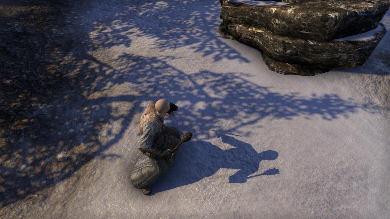 The Elder Scrolls Online im Beta-Test: Schatten im Vergleich. 1440p @ Full HD. (3)