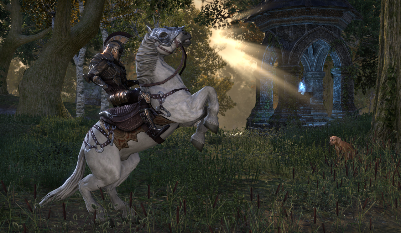 [11/02/2014] The Elder Scrolls Online