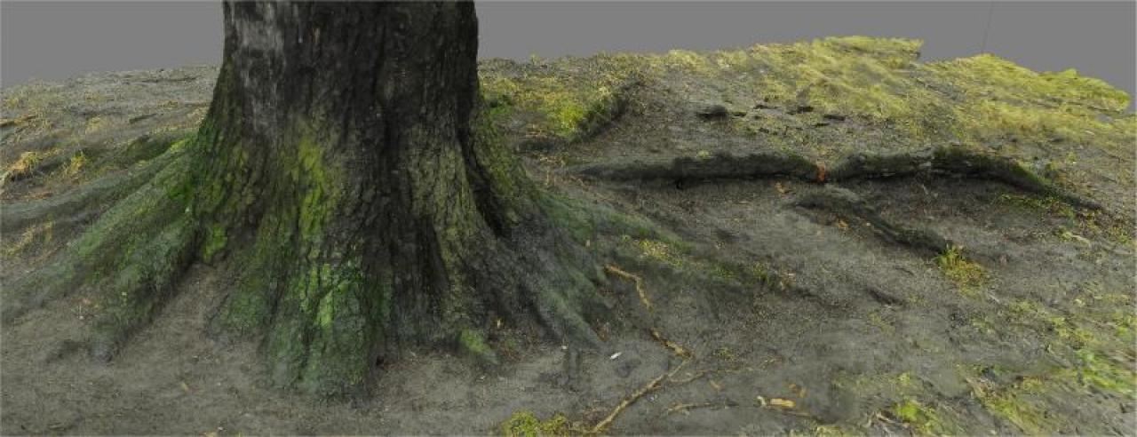 [12/02/2014] Get Even - Bei Vegetation werden Hybrid-Modelle verwendet. Einige Teile werden gescannt, und dann im 3D-Programm vervollständigt. Die Detailversessenheit der Entwickler ist beachtlich: Sogar einzelne Blätter werden mit der Scan-Technologie eingelesen.
