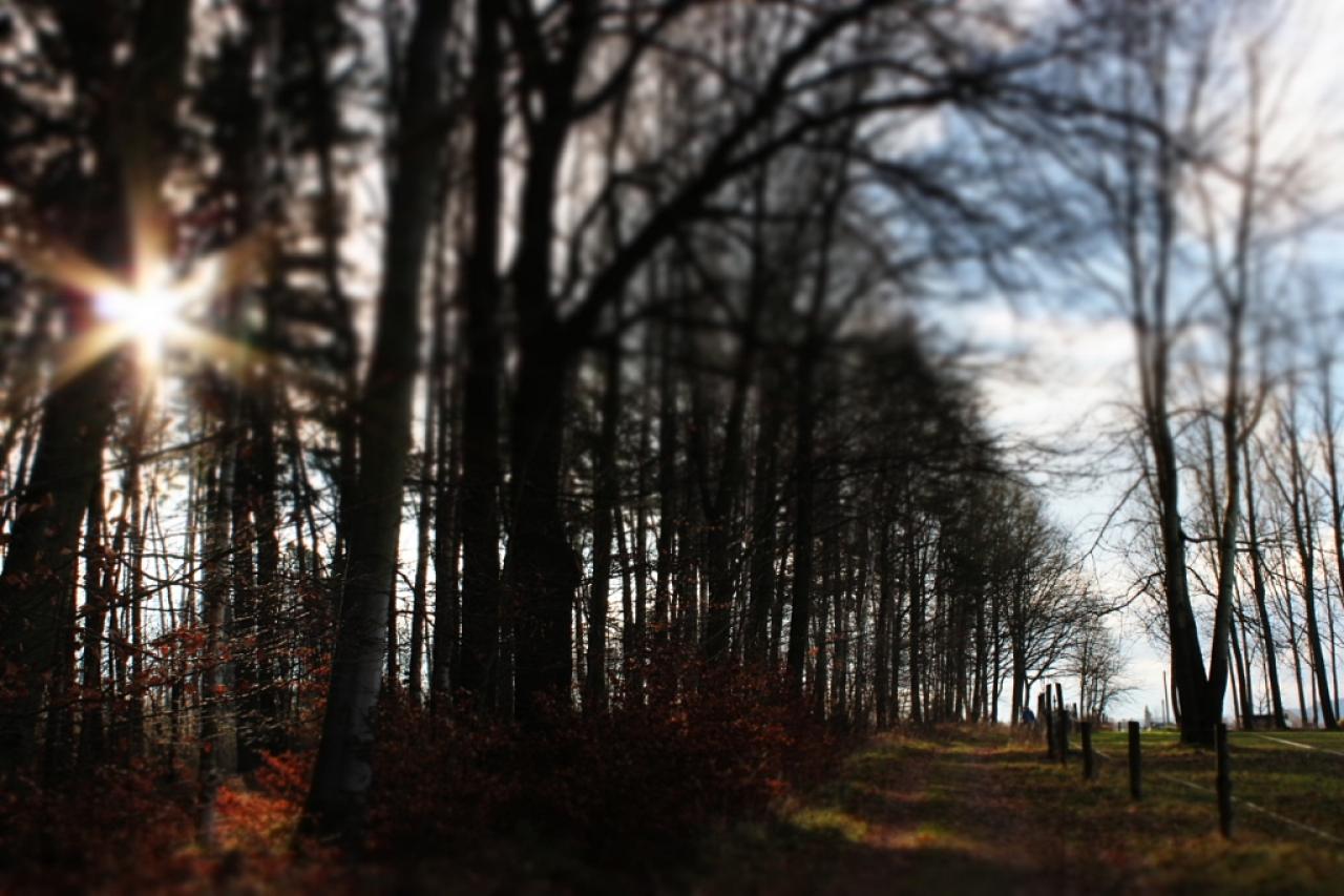 [07/03/2014] Update vom 08.03.: Foto von tonyx86