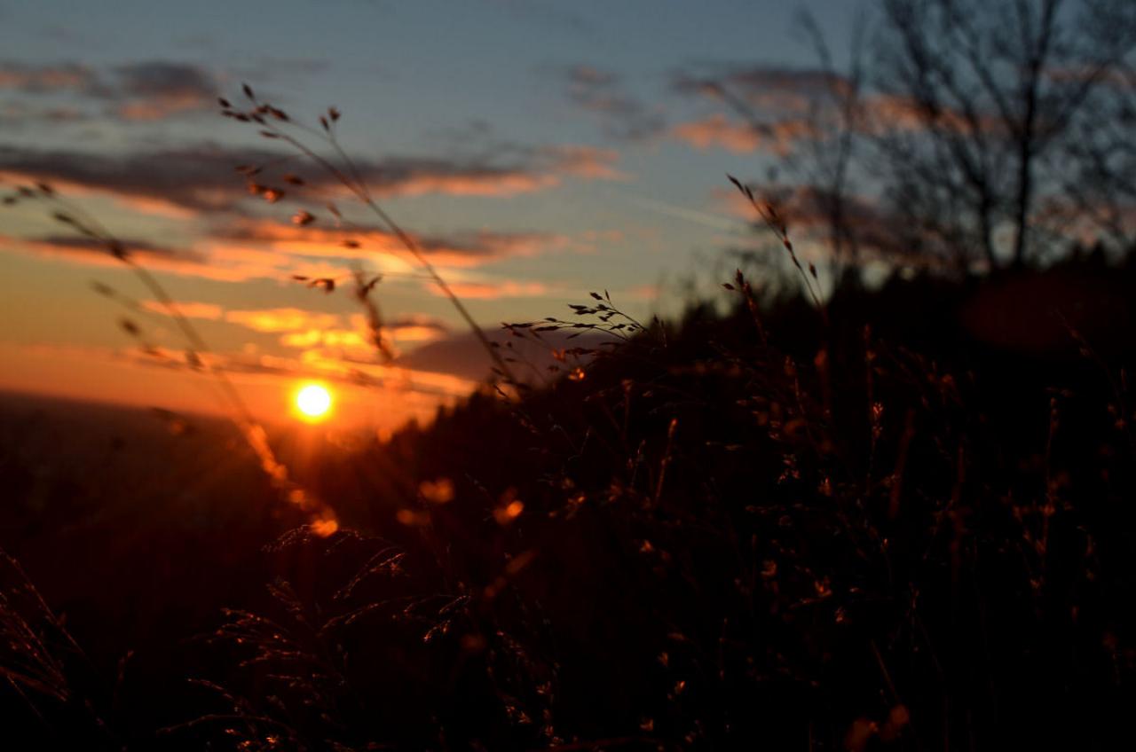 [07/03/2014] Update vom 08.03.: Foto von Jarafi