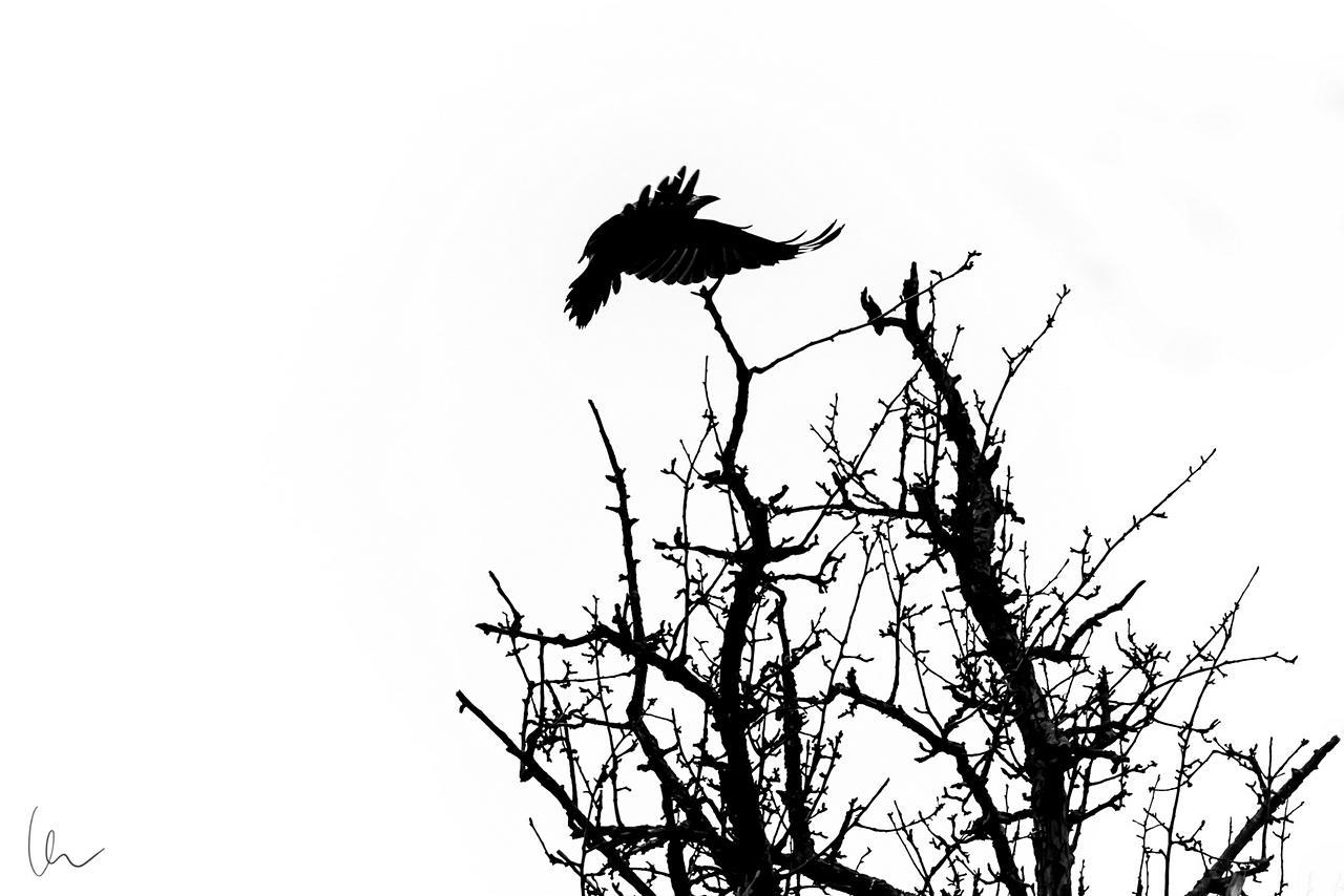 [07/03/2014] Update vom 08.03.: Foto von SanjiWhite