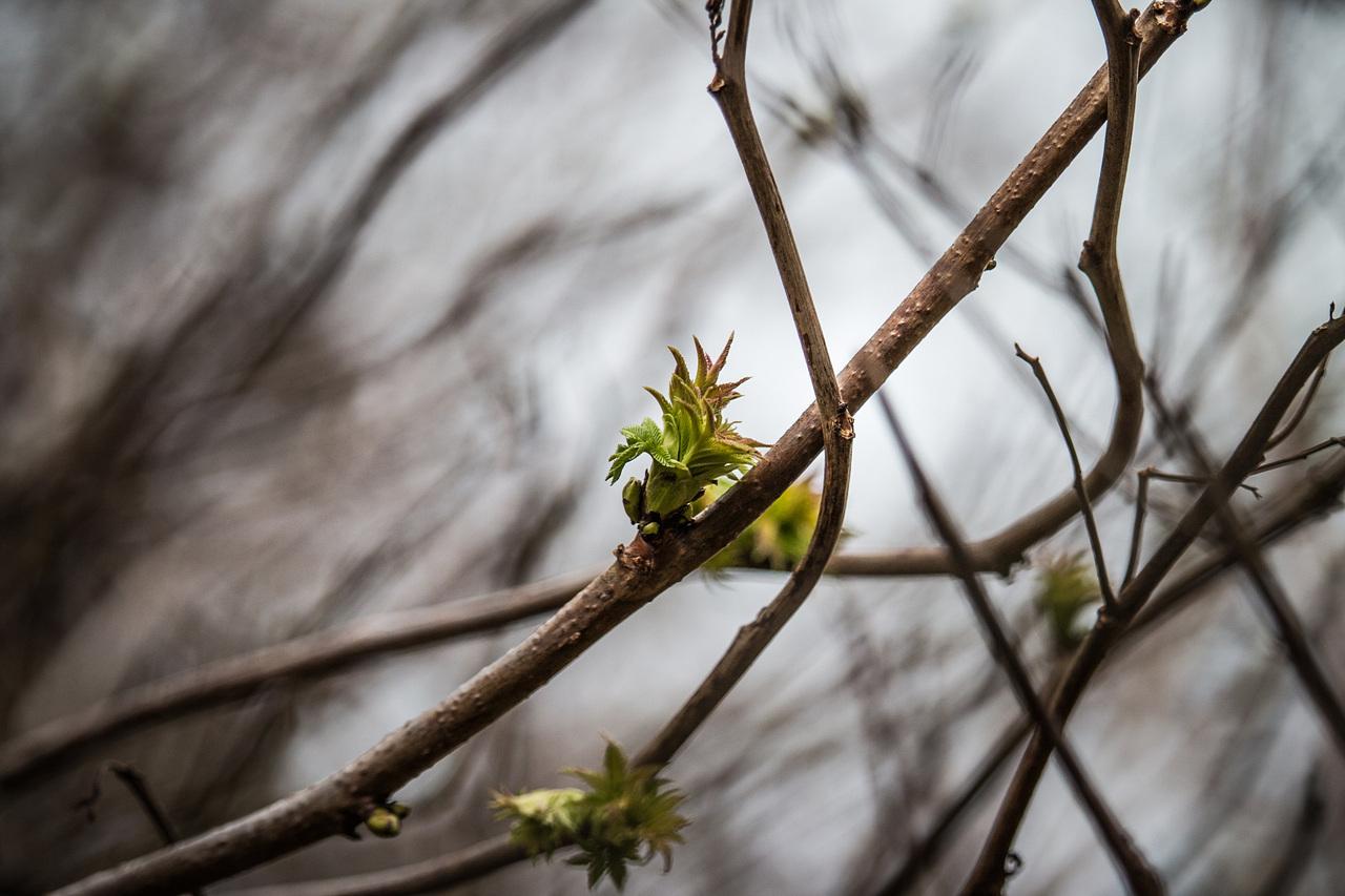 [07/03/2014] Update vom 08.03.: Foto von Luemmel
