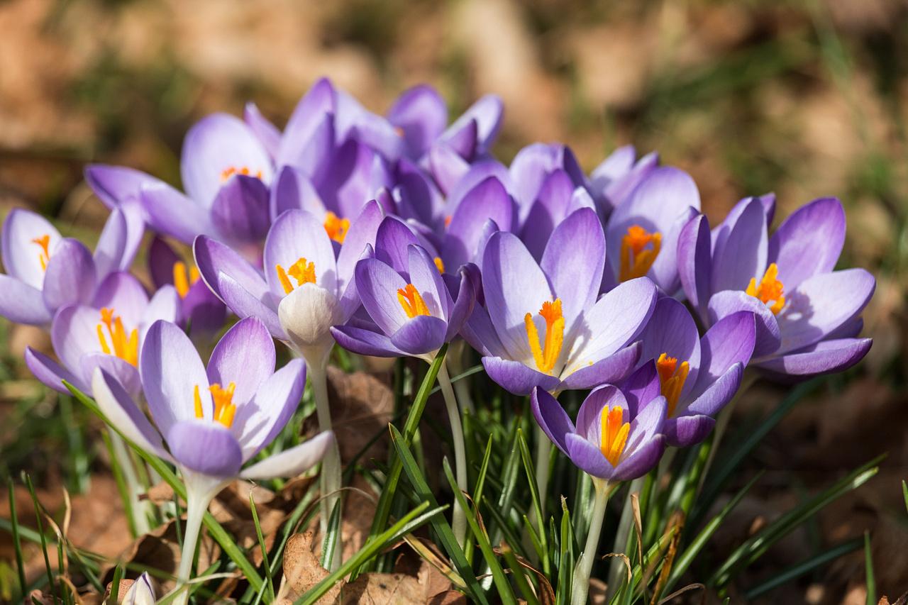 [07/03/2014] Update vom 08.03.: Foto von Luemmel