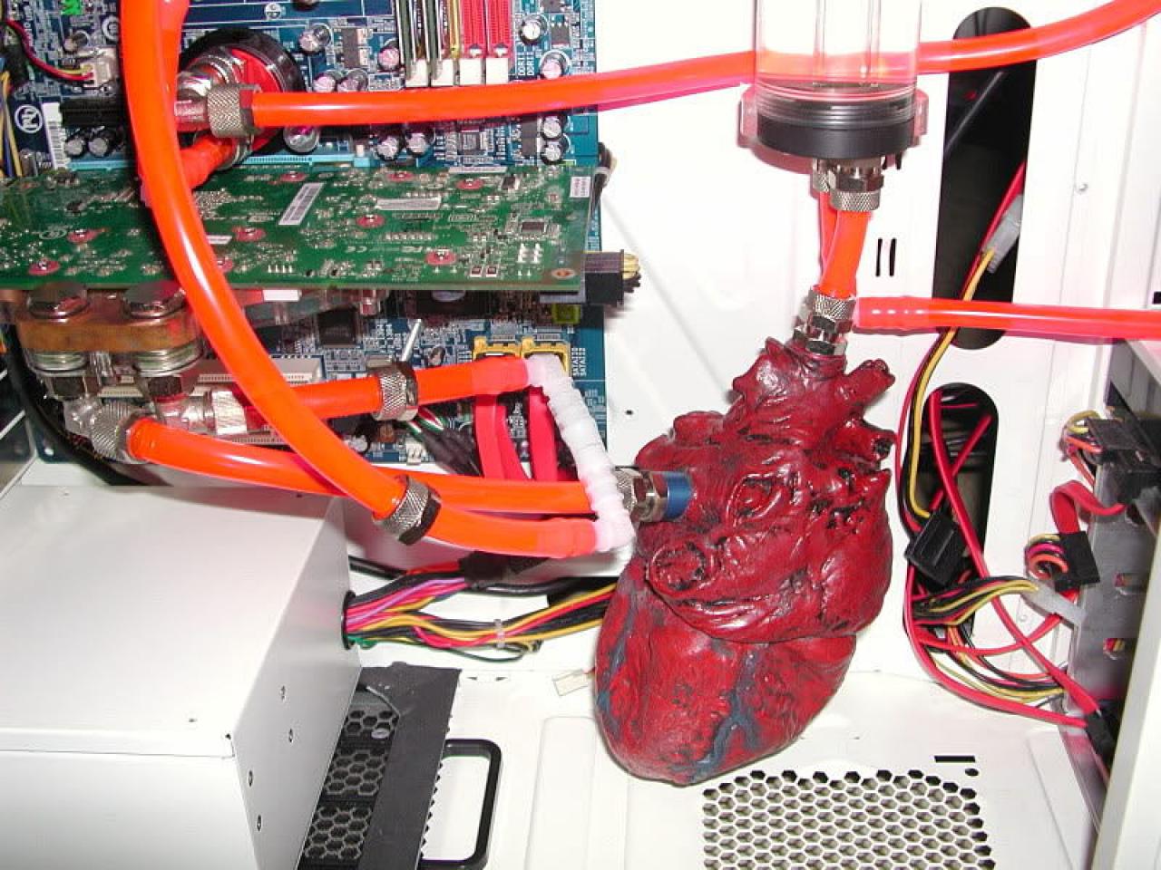 [07/03/2014] Update vom 09.03.: PC von blu3gr33n