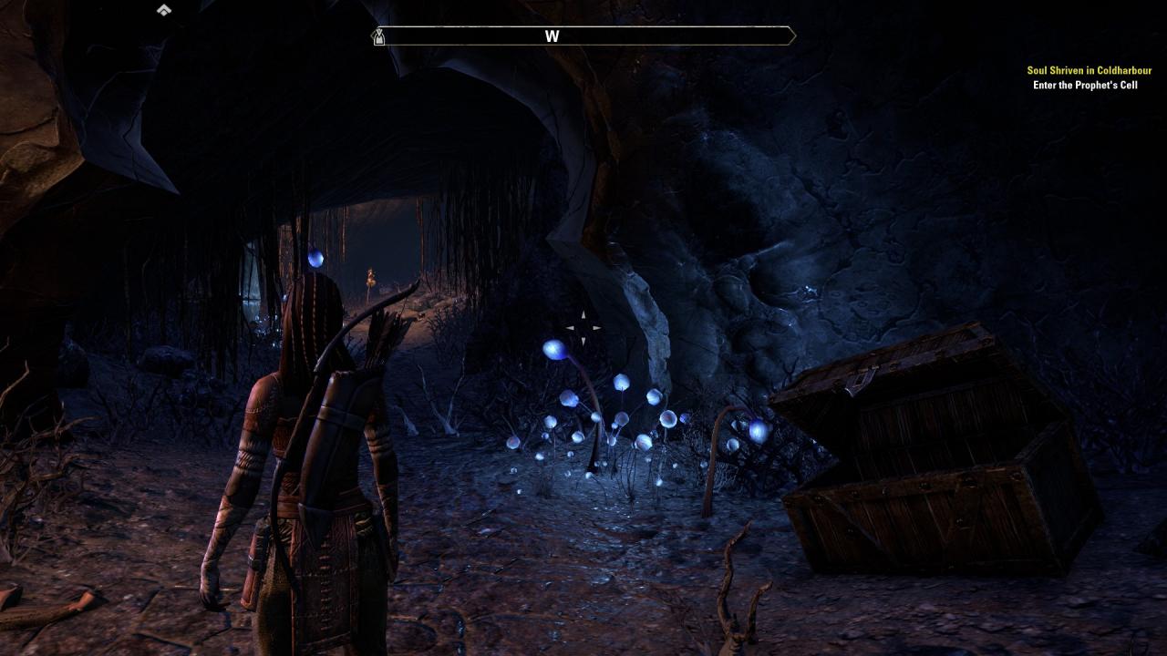 [03/03/2014] TESO - Die Beta im Technik-Check (14)