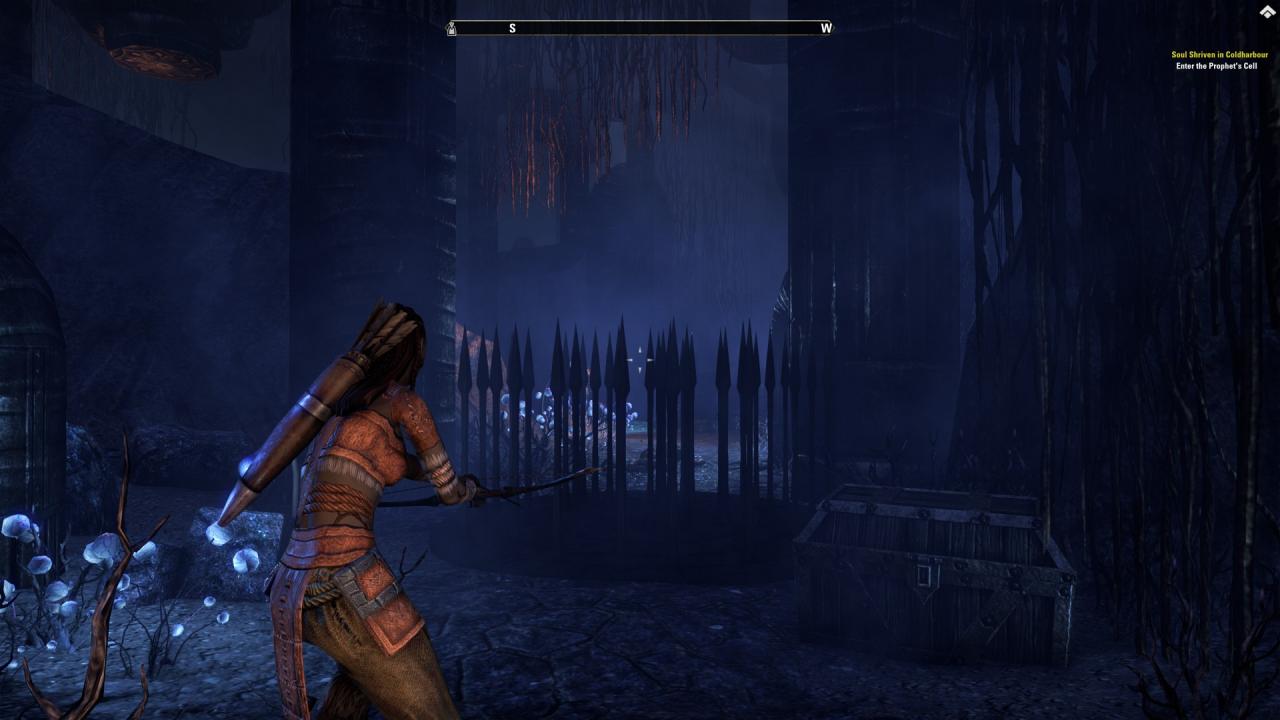 [03/03/2014] TESO - Die Beta im Technik-Check (15)