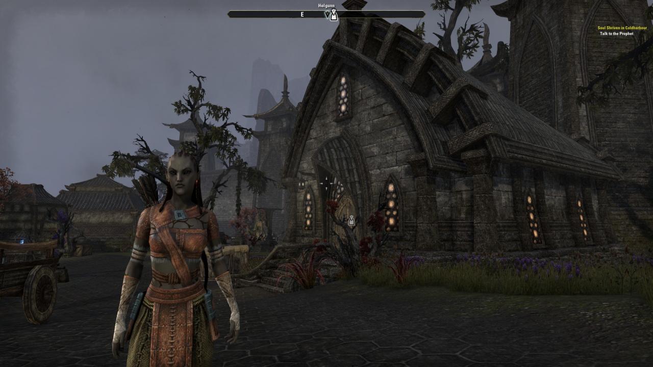 [03/03/2014] TESO - Die Beta im Technik-Check (29)