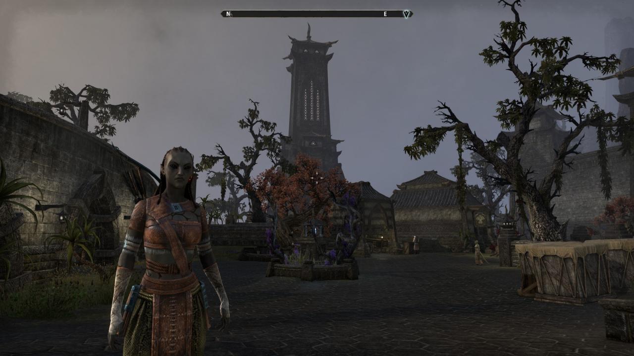 [03/03/2014] TESO - Die Beta im Technik-Check (30)