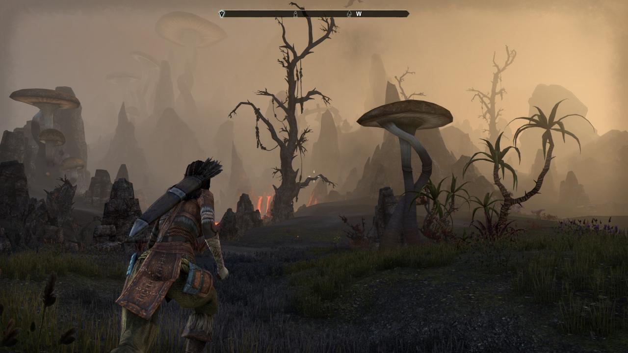 [03/03/2014] TESO - Die Beta im Technik-Check (35)