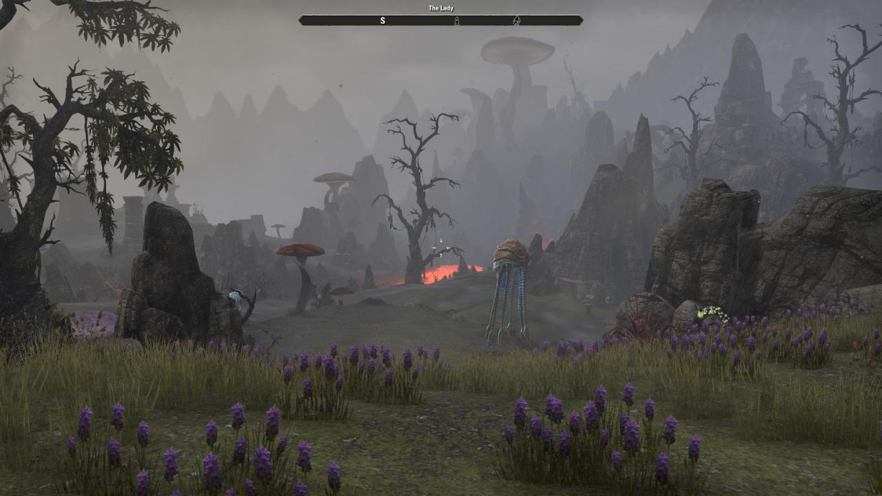 [03/03/2014] TESO - Die Beta im Technik-Check (45)