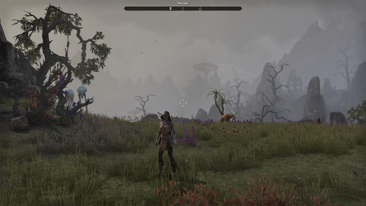 [03/03/2014] TESO - Die Beta im Technik-Check (46)