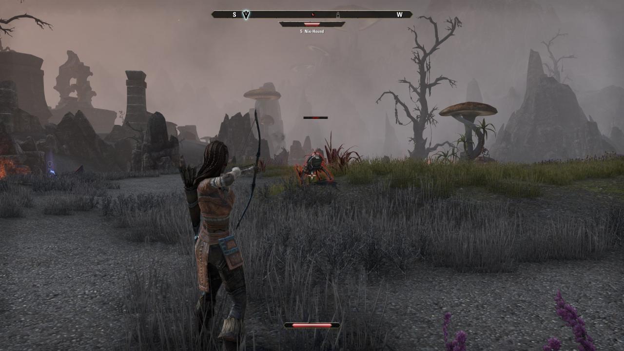 [03/03/2014] TESO - Die Beta im Technik-Check (51)