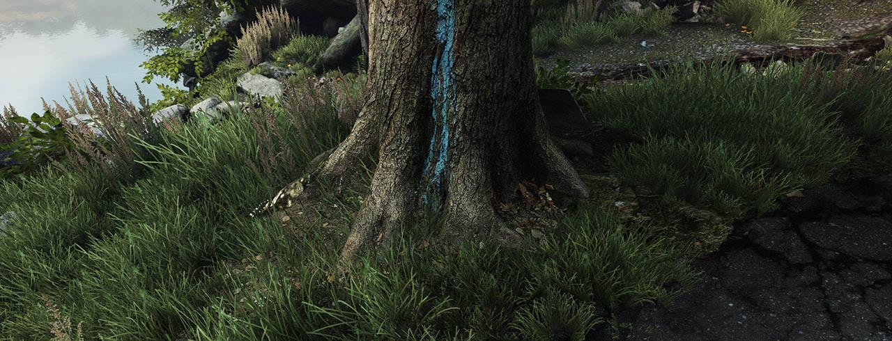 [20/03/2014] The Vanishing of Ethan Carter: Screenshots (3)