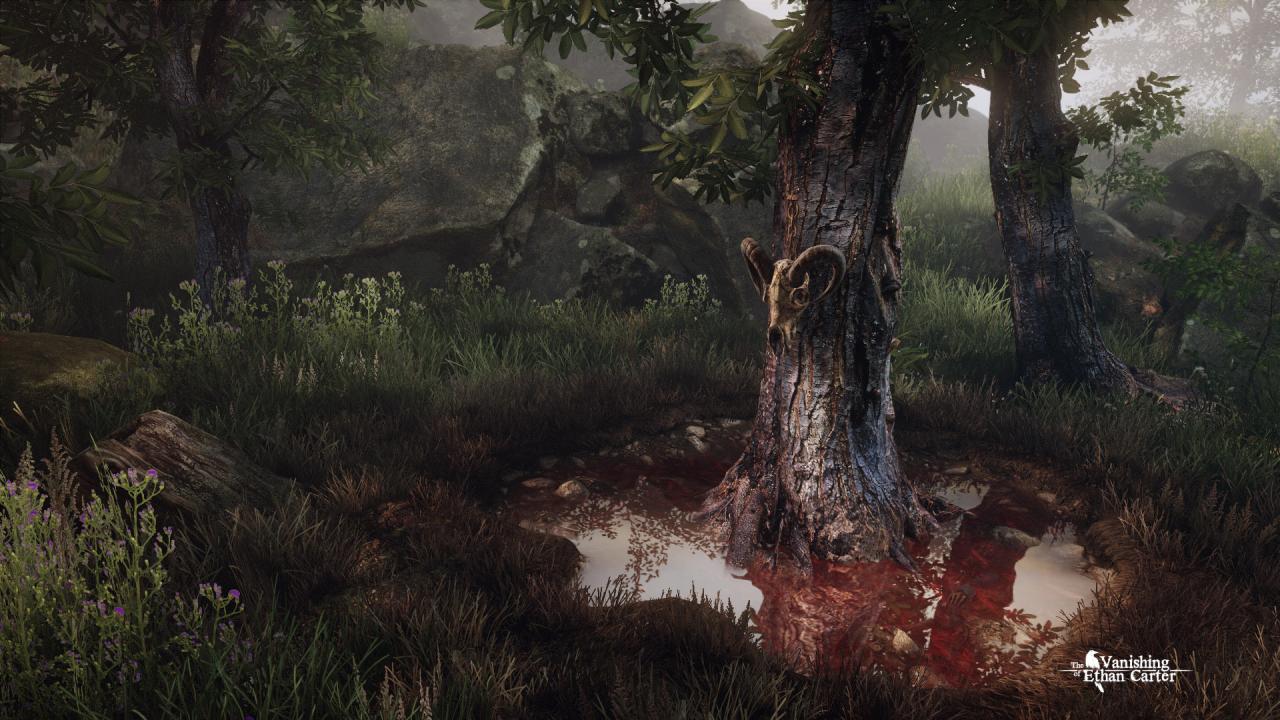 [20/03/2014] The Vanishing of Ethan Carter: Screenshots (6)