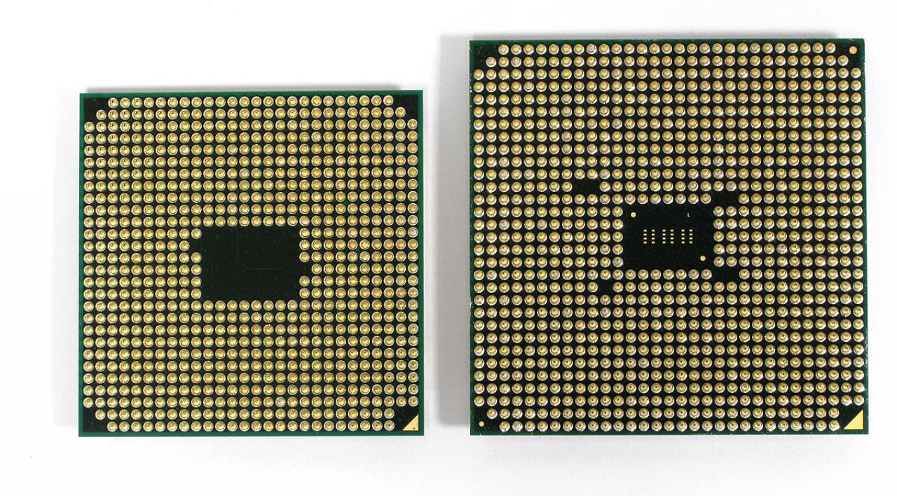 [09/04/2014] Schon aufgrund ihrer Größe, aber auch durch die Pinbelegung passen die beiden AMD-CPUs Athlon 2350 (l) und A10-7700K (r) nicht in einen Sockel. Der Kabini-SoC führt nur einen Speicherkanal, dafür aber etliche I/O-Anschlüsse durch den Sockel nach außen.