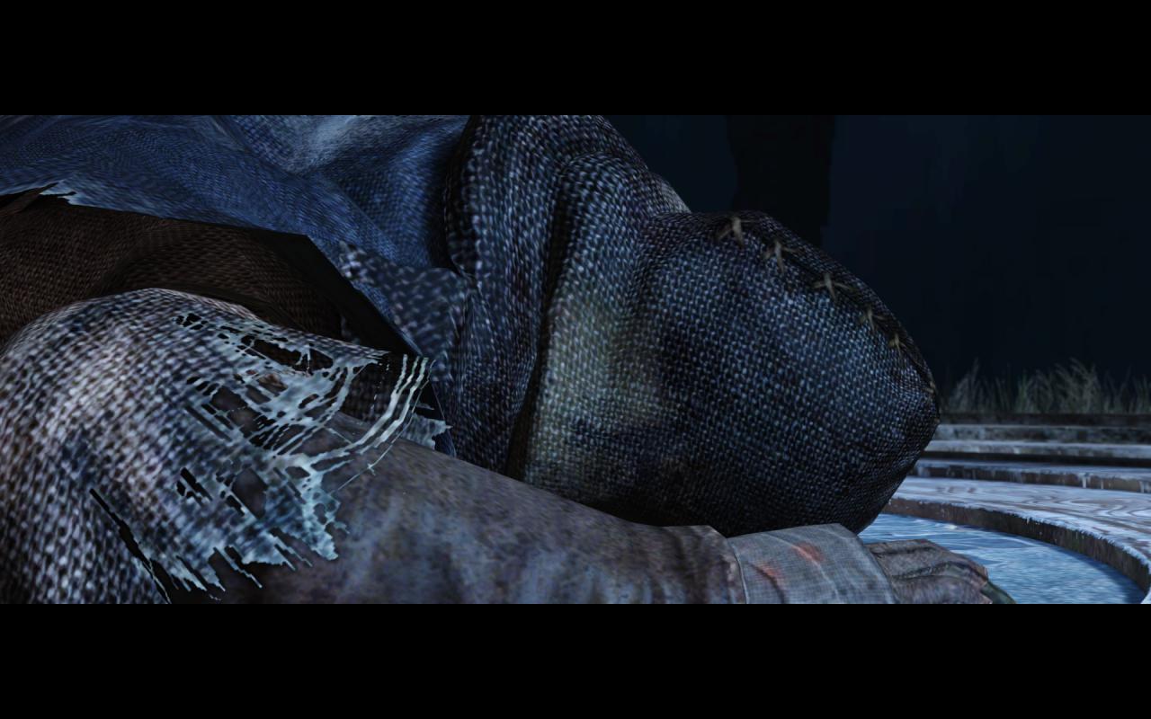[25/04/2014] Dark Souls 2 - Maue Texturierung