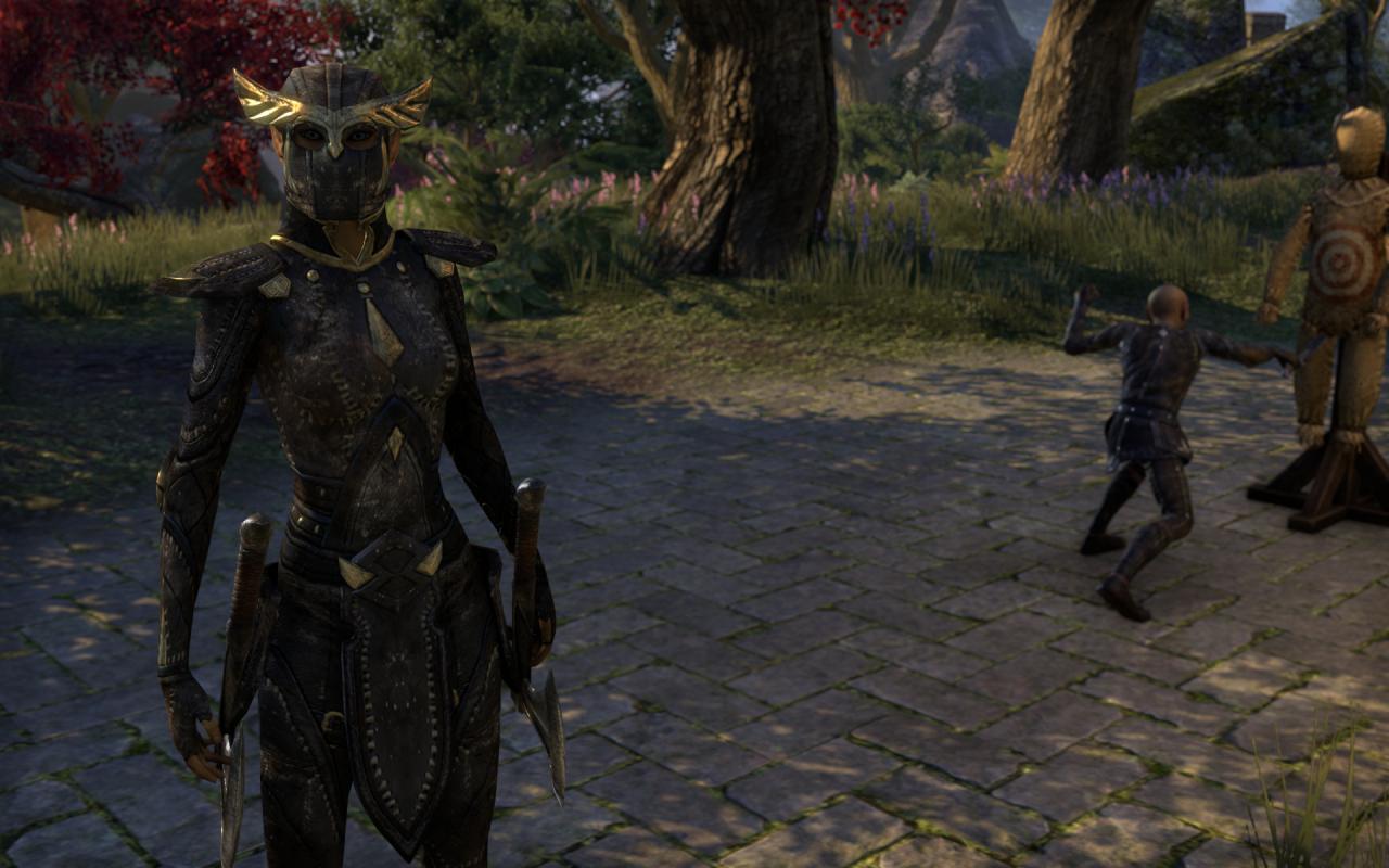 [16/04/2014] TESO - Elder Scrolls Online downsampled (58)