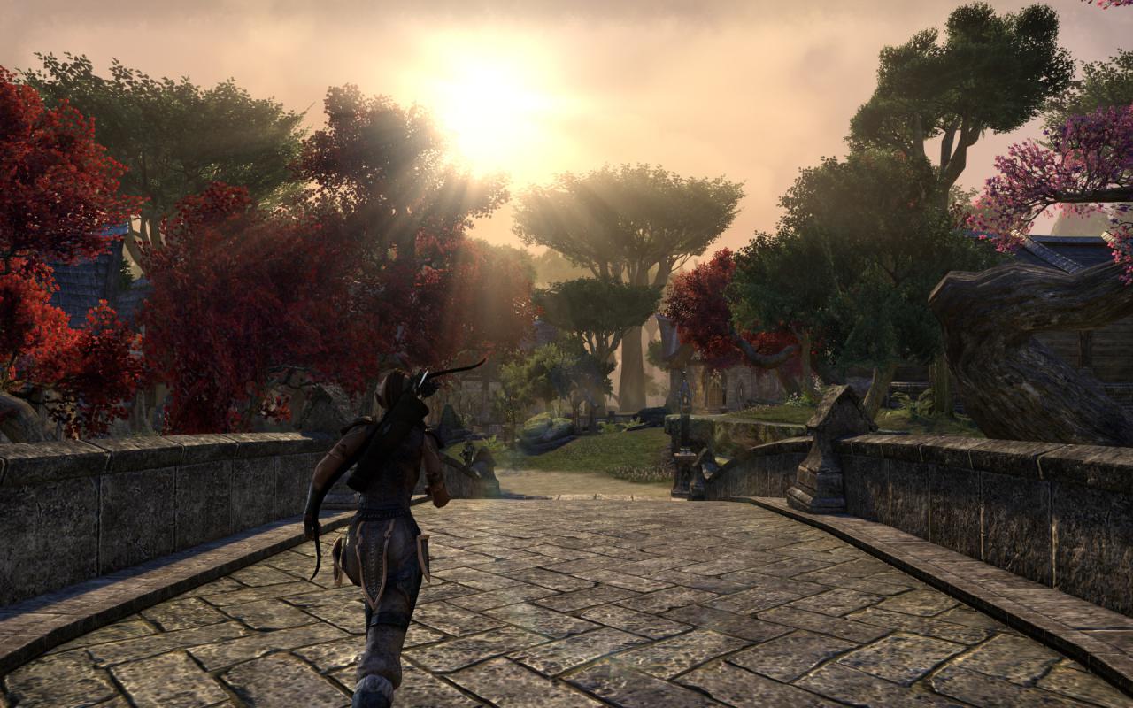 [16/04/2014] TESO - Elder Scrolls Online downsampled (59)
